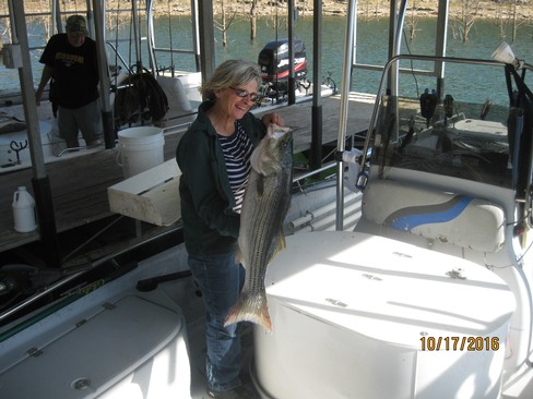 Nice Striped Bass